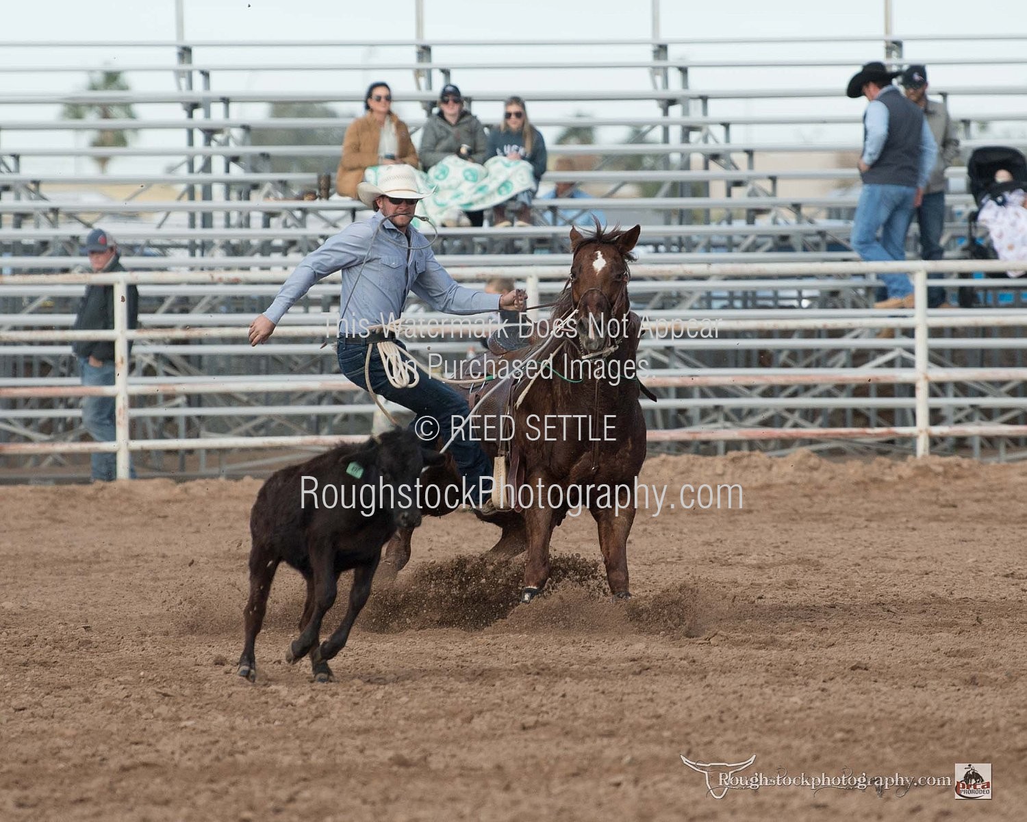 Tie Down Rodeo/Event 2024 Yuma PRCA Slack 1 Fri Morn