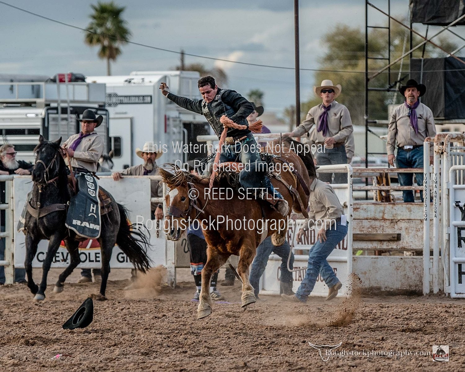 Saddle Broncs Sec 2 - Rodeo/Event - 2024 - Yuma PRCA - Perf 1 ...