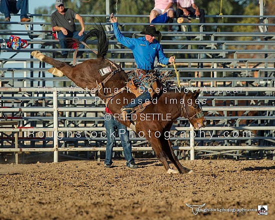 SaddleBronc