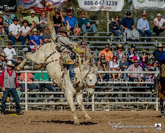 SaddleBronc