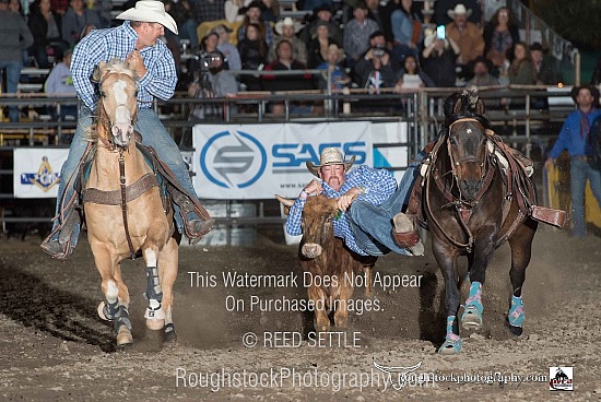 Steer Wrestling