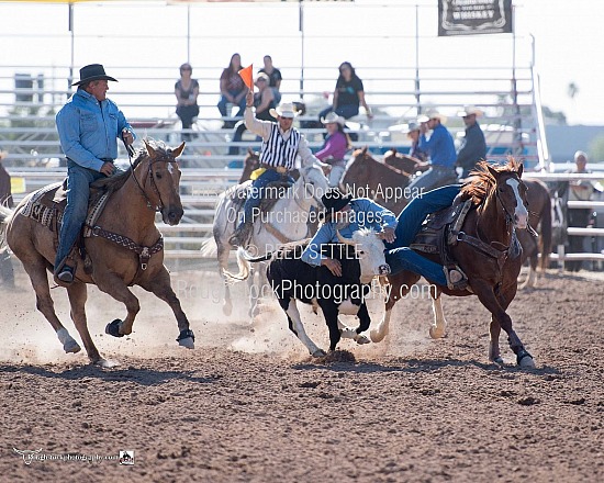 Steer Wrestling