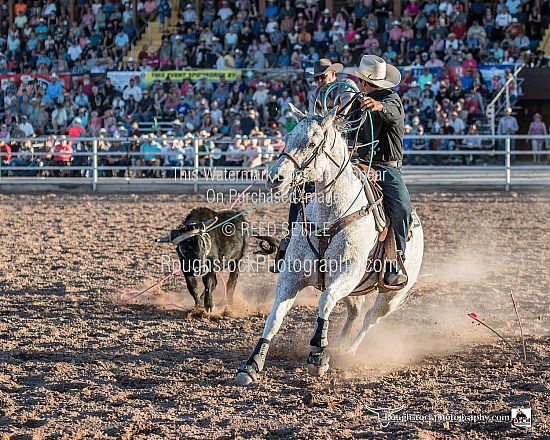 Team Roping