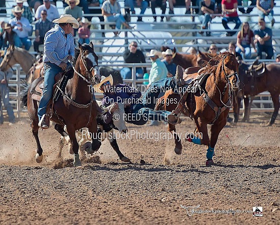 Steer Wrestling