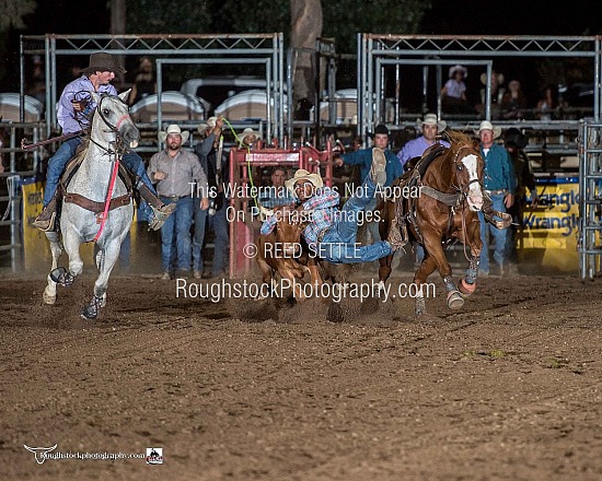 Steer Wrestling