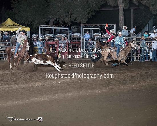 Team Roping