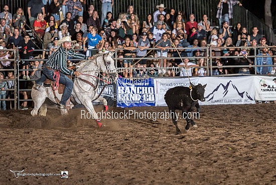 Tie Down Roping