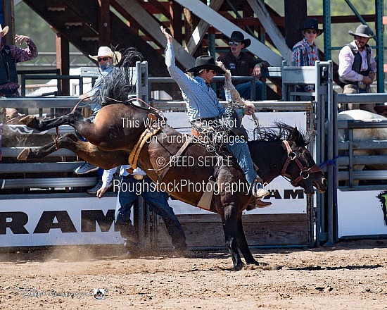 Saddle Bronc