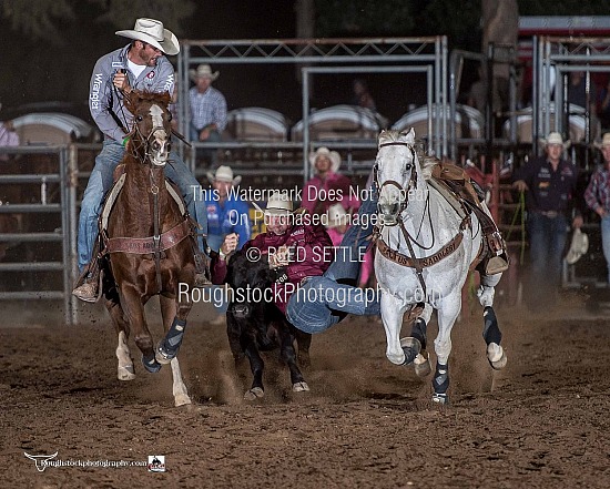 Steer Wrestling