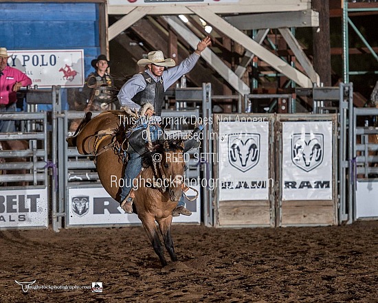 Saddle Bronc