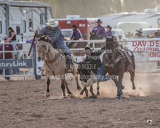 Steer Wrestling