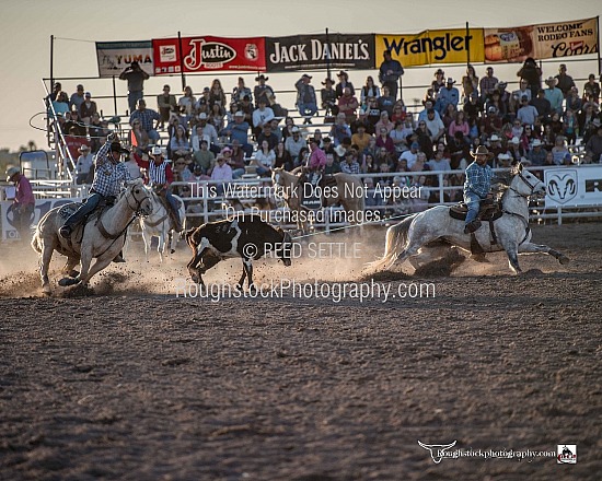 Team Roping