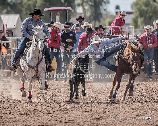 Steer Wrestling