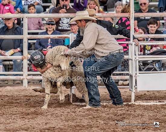 Mutton Bustin