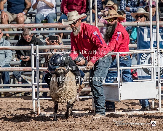 Mutton Bustin