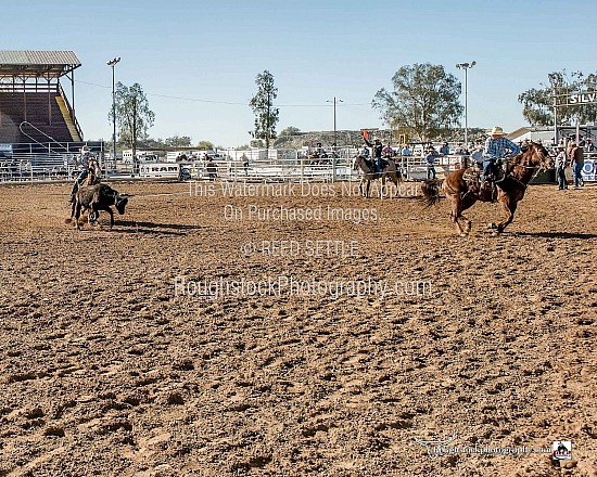 Team Roping