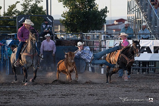 Steer Wrestling