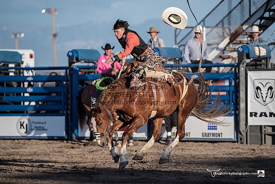 Saddle Broncs