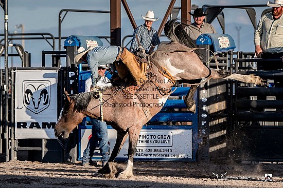 Ranch Bronc