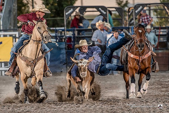 Steer Wrestling