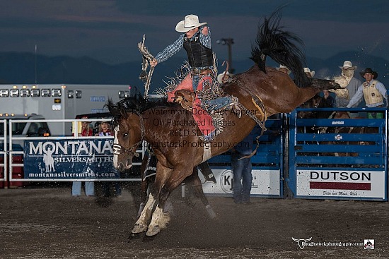 Saddle Broncs