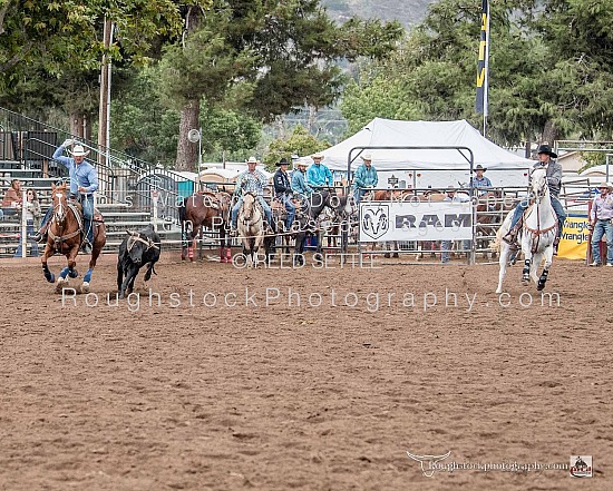 Team Roping