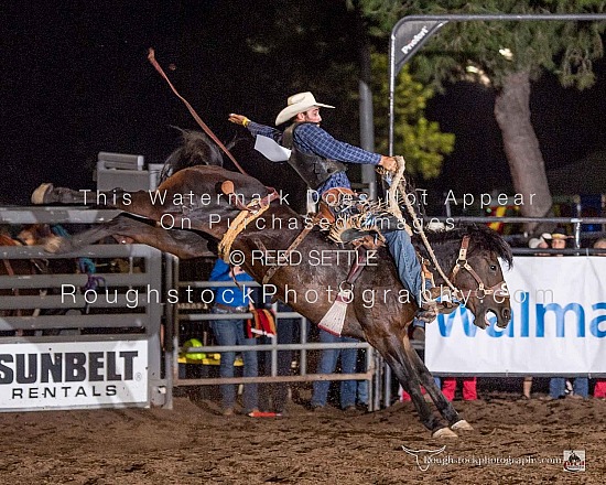 Saddle Bronc