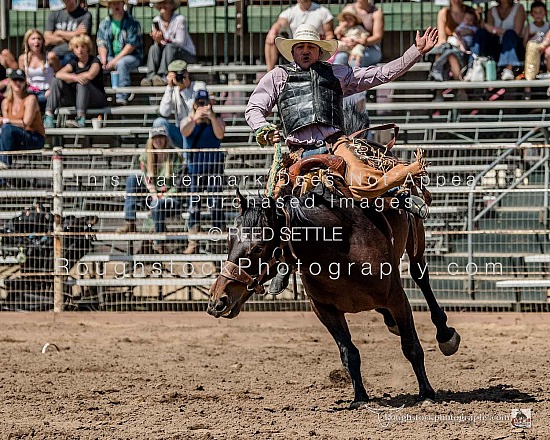 Saddle Bronc