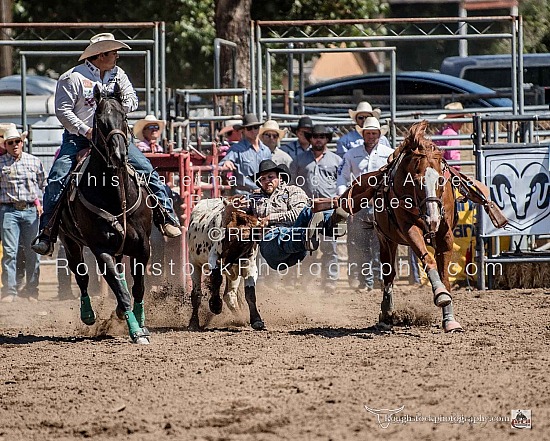 Steer Wrestling