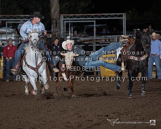 Steer Wrestling