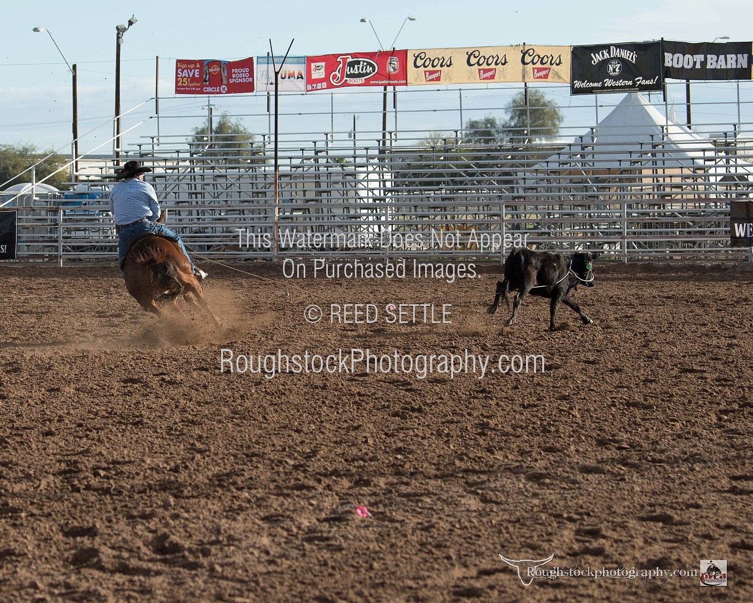 Steer Roping Sec 2 - Rodeo/Event - 2024 - Yuma PRCA - Slack 1 Fri Morn ...