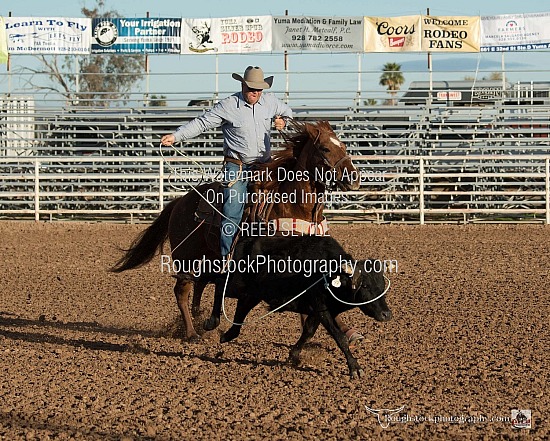 Steer Roping Sec 1