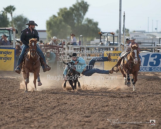 Steer Wrestling