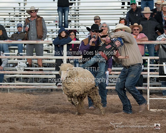 Mutton Bustin