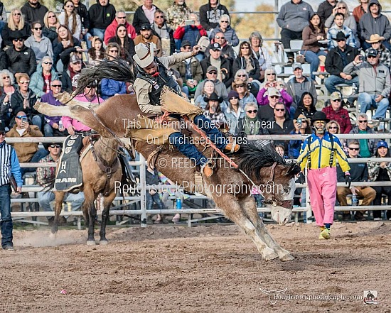 Saddle Broncs Sec 1