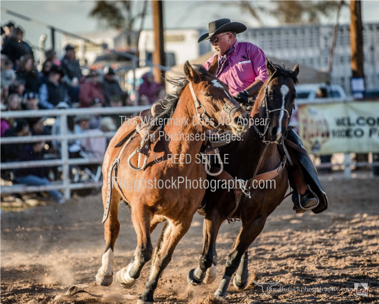 ROUGHSTOCK