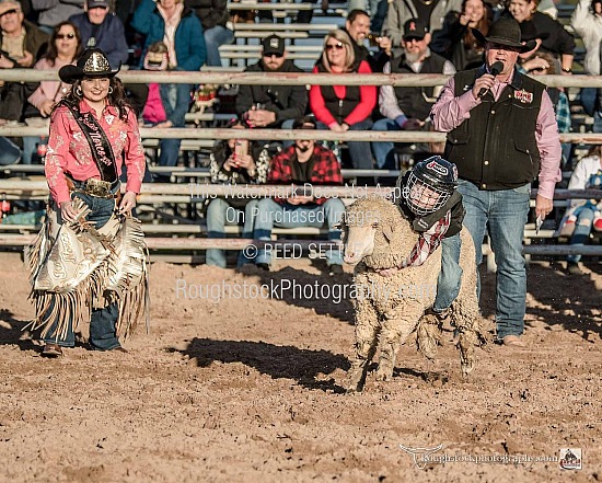 Mutton Bustin