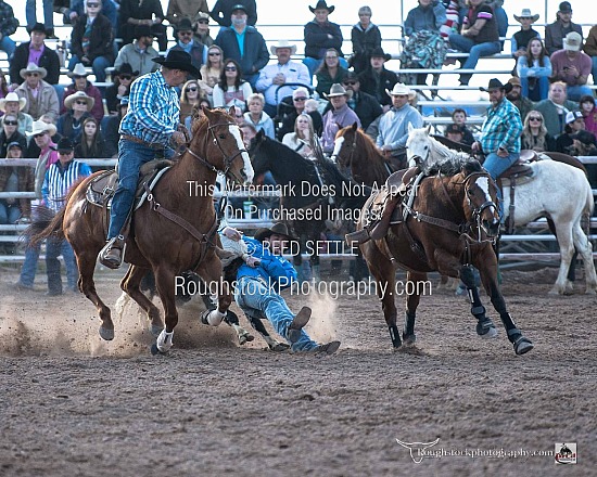 Steer Wrestling