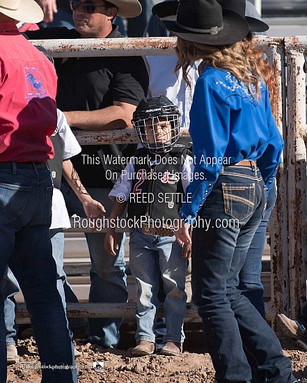 Mutton Bustin