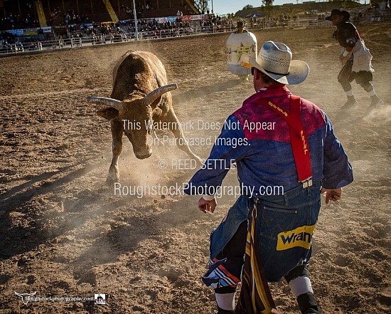 Roughstock