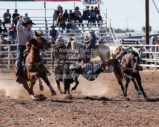 Steer Wrestling