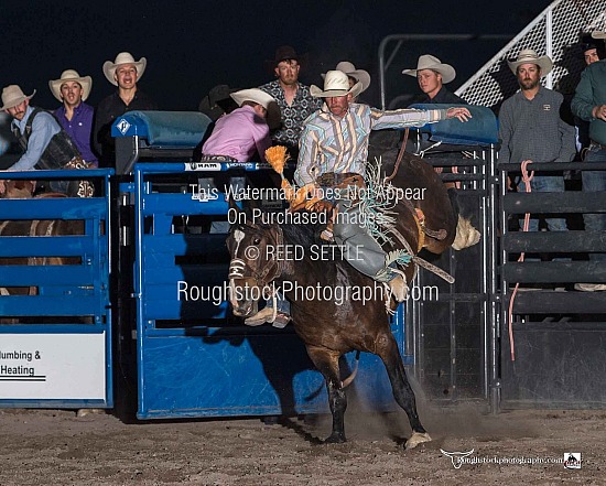 Saddle Bronc