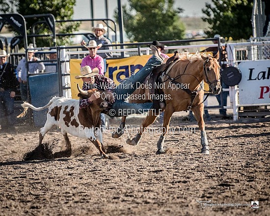 Steer Wrestling