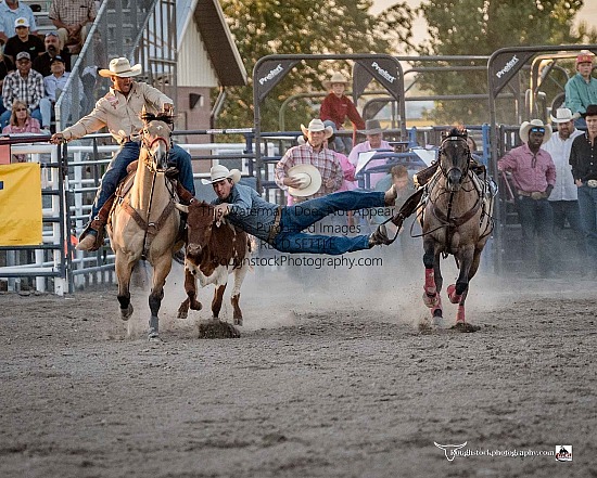 Steer Wrestling