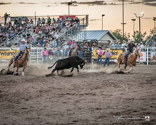 Team Roping