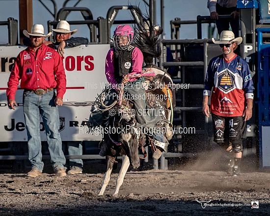 Pony Bronc Riding