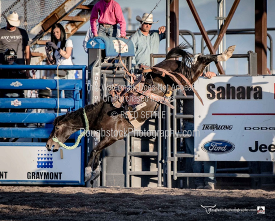 Roughstock