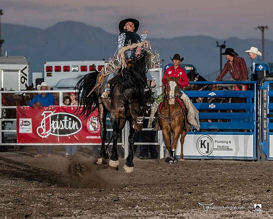 Saddle Bronc