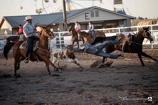 Steer Wrestling