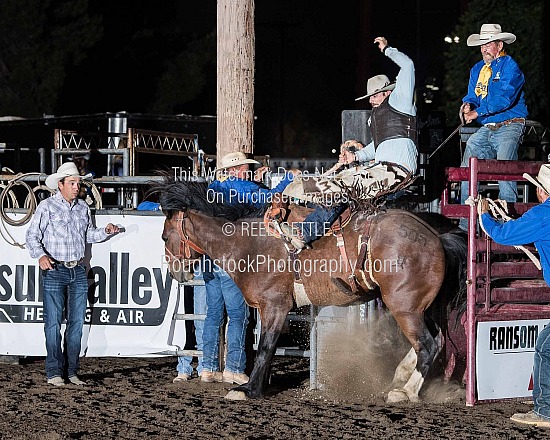 Saddle Broncs